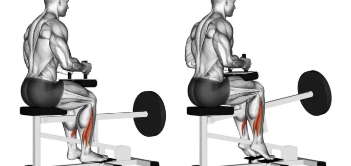 Toes In Seated Calf Raise